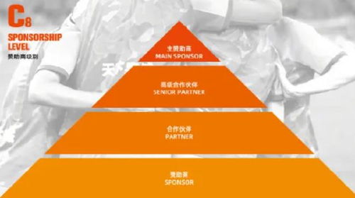 山東泰山開放冠名權招商，開啟品牌合作新篇章